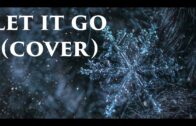 ”Let it go” (cover på Frost) av Anton Skoglund